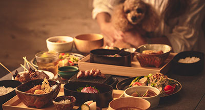 お食事「和食処OTE」