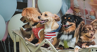 団体様向け貸切プラン