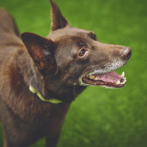 宿泊予約はWebの専用ページよりお願いします