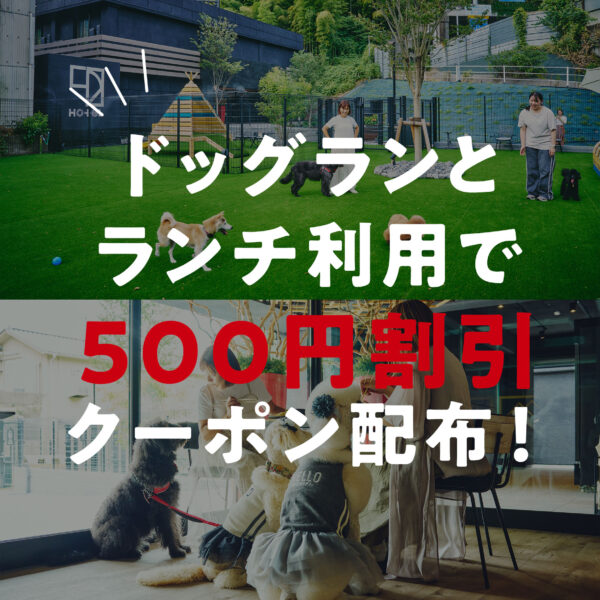 ドッグランとランチのご利用で500円割引クーポン配布！