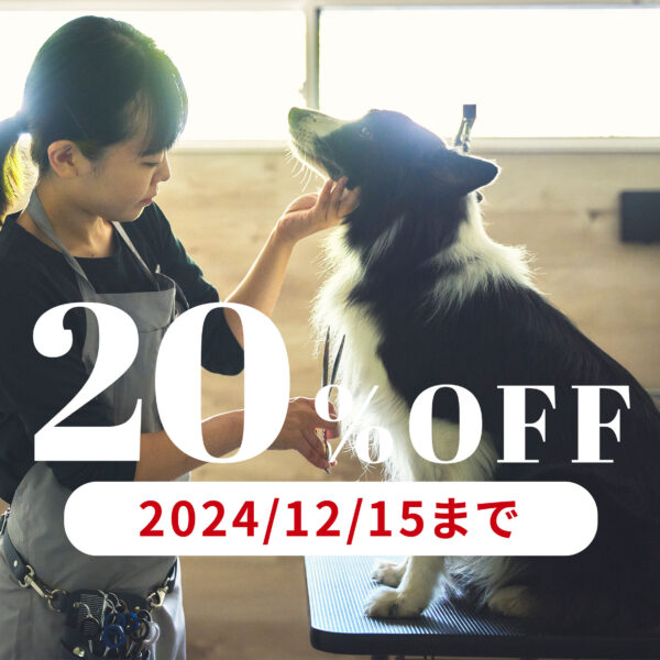 【トリミング予約】12/15まで総額より20％OFF