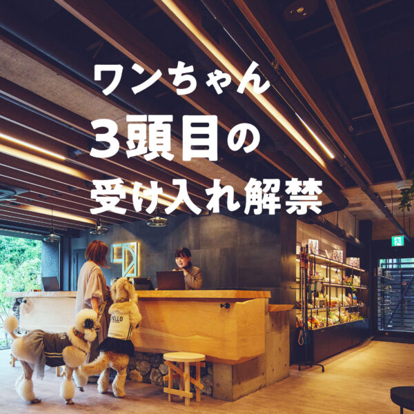 ワンちゃん3頭目の受け入れ解禁