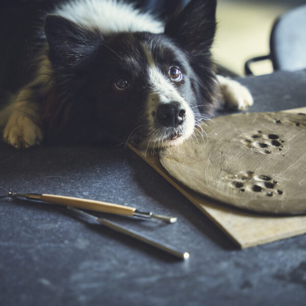 ドッグマルシェ富士山に出店します