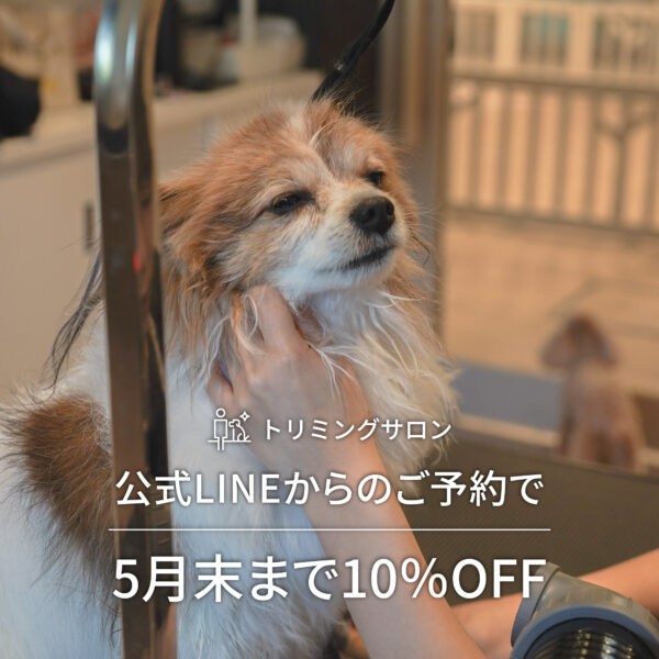 公式LINEにてトリミング10％OFFクーポンを配布中！