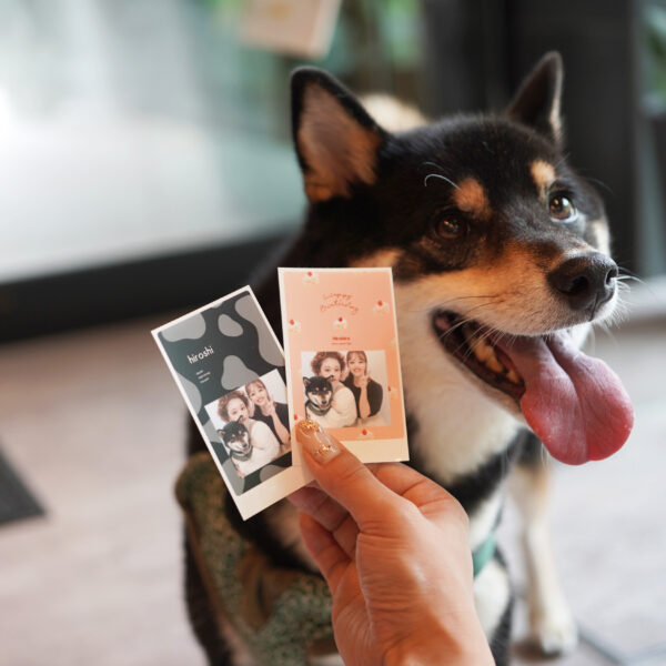 6月限定キャンペーンのお知らせ