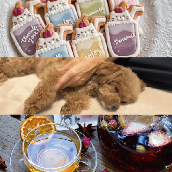 2025.08.13 出店のお知らせ