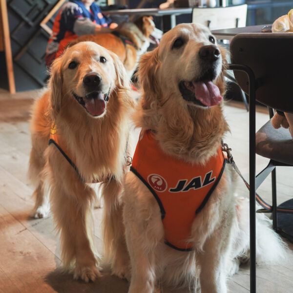 ランチの団体予約受付中