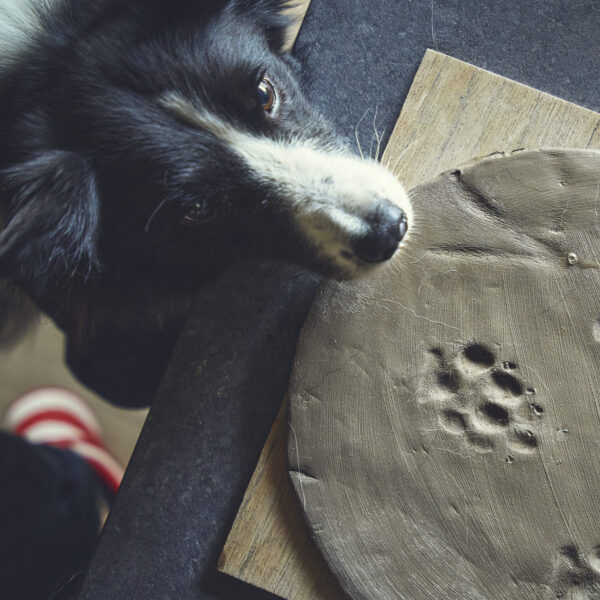 2025.08.29 肉球マツリ開催