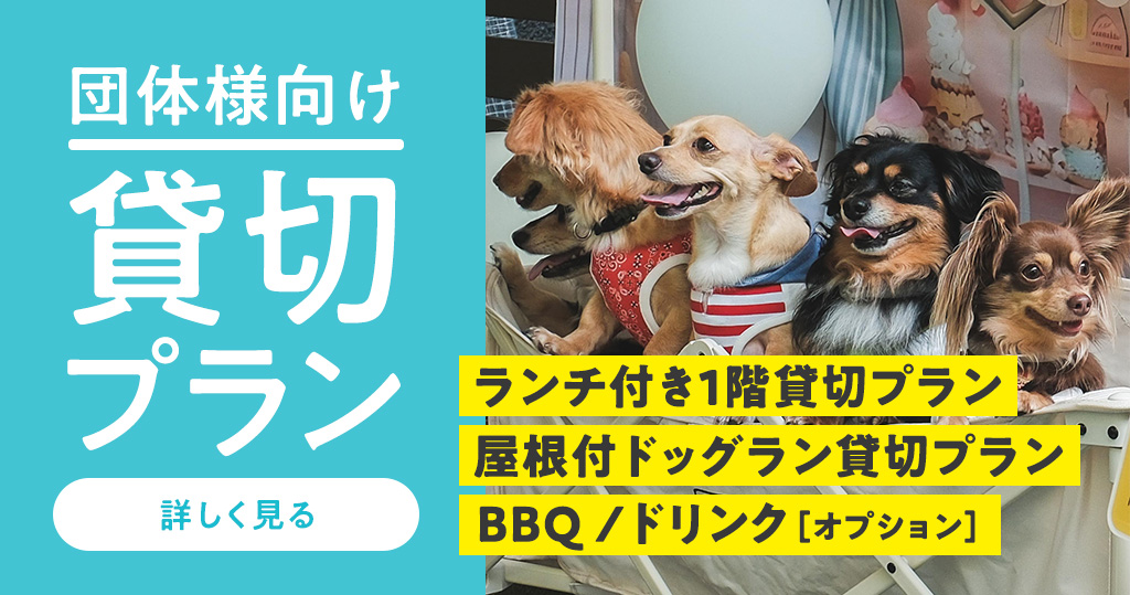 団体様向け貸切プラン