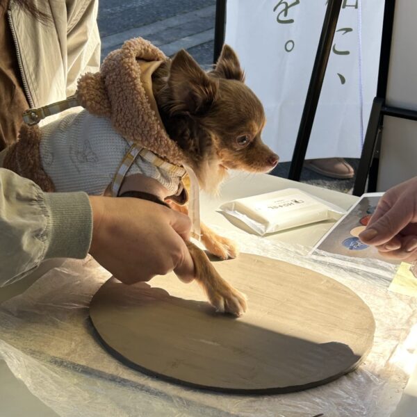 2025.11.08-09 アニマルピックフェスタin浜名湖