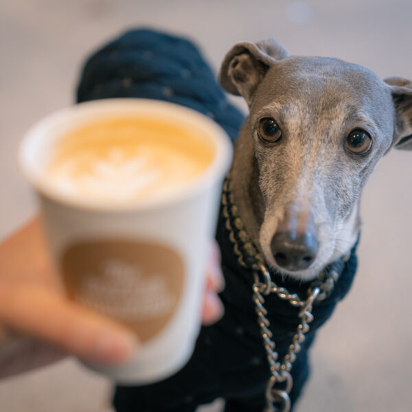 「#コーヒーとワンショット」に写真を投稿して宿泊券を当てよう！