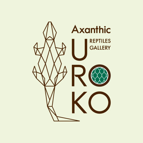 【Axantic Reptiles Gallery ＊UROKO＊】爬虫類ショップがOPEN♪