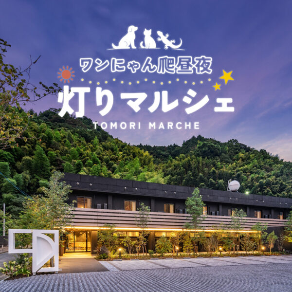 2026.02.20『ワンにゃん爬昼夜～灯りマルシェ～』を開催します