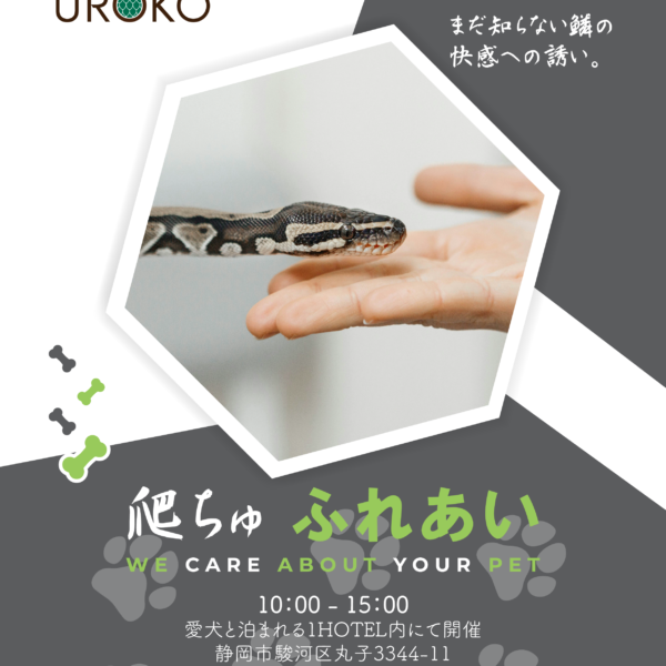 2025.12.07 『爬ちゅ ふれあい』を開催します