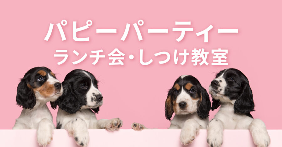 2026.02.22より開催!　パピーパーティー