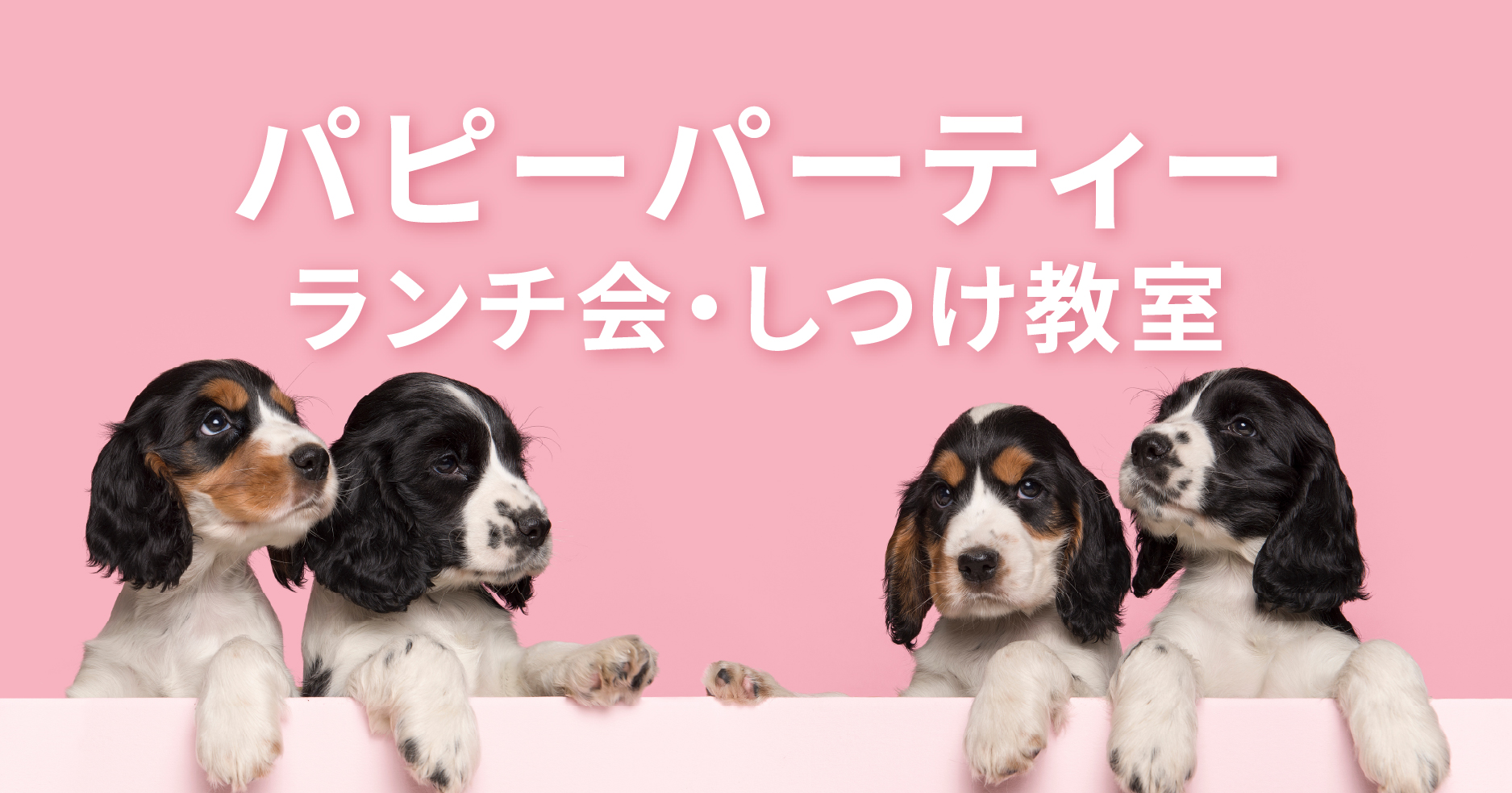 毎月開催！パピーパーティー