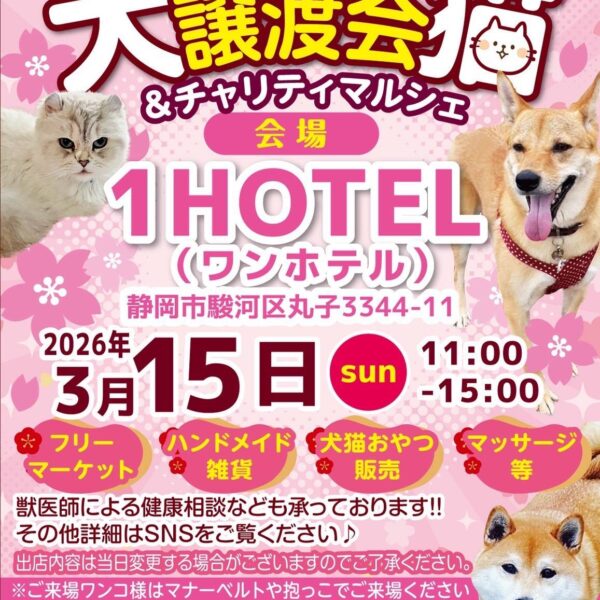 2026.03.15 犬猫譲渡会＆チャリティマルシェ開催