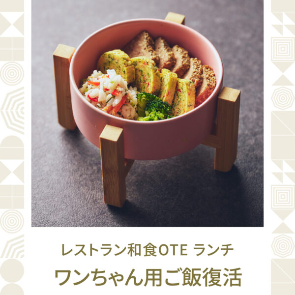 2026.07.31 和食OTEランチ、ワンちゃん用ご飯復活します!
