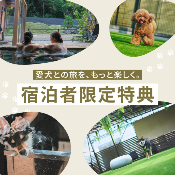 愛犬との旅を、もっと楽しく。【宿泊者限定特典】