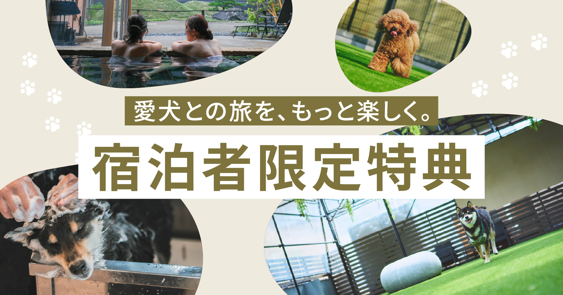 宿泊者限定特典